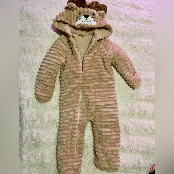 Koala Baby - Picture 3 of 6